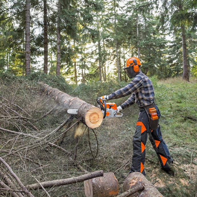 STIHL® MS 462 C-M